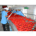 آلة معالجة معجون الطماطم المخصصة